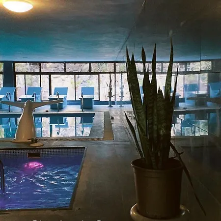 Paradise Apartament